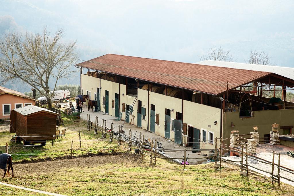 La Tenuta - Resort Agricolo Casaprota Exterior photo